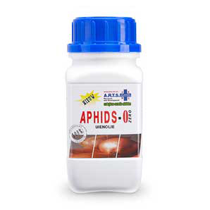 Aphids control on cannabis plants