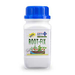 Root rot control on cannabis plants